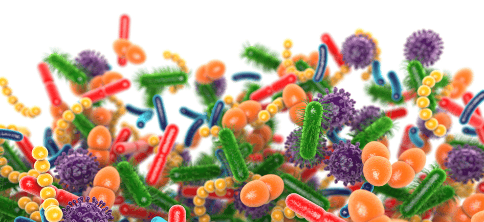 Microbiome May Blog Seriescut-1